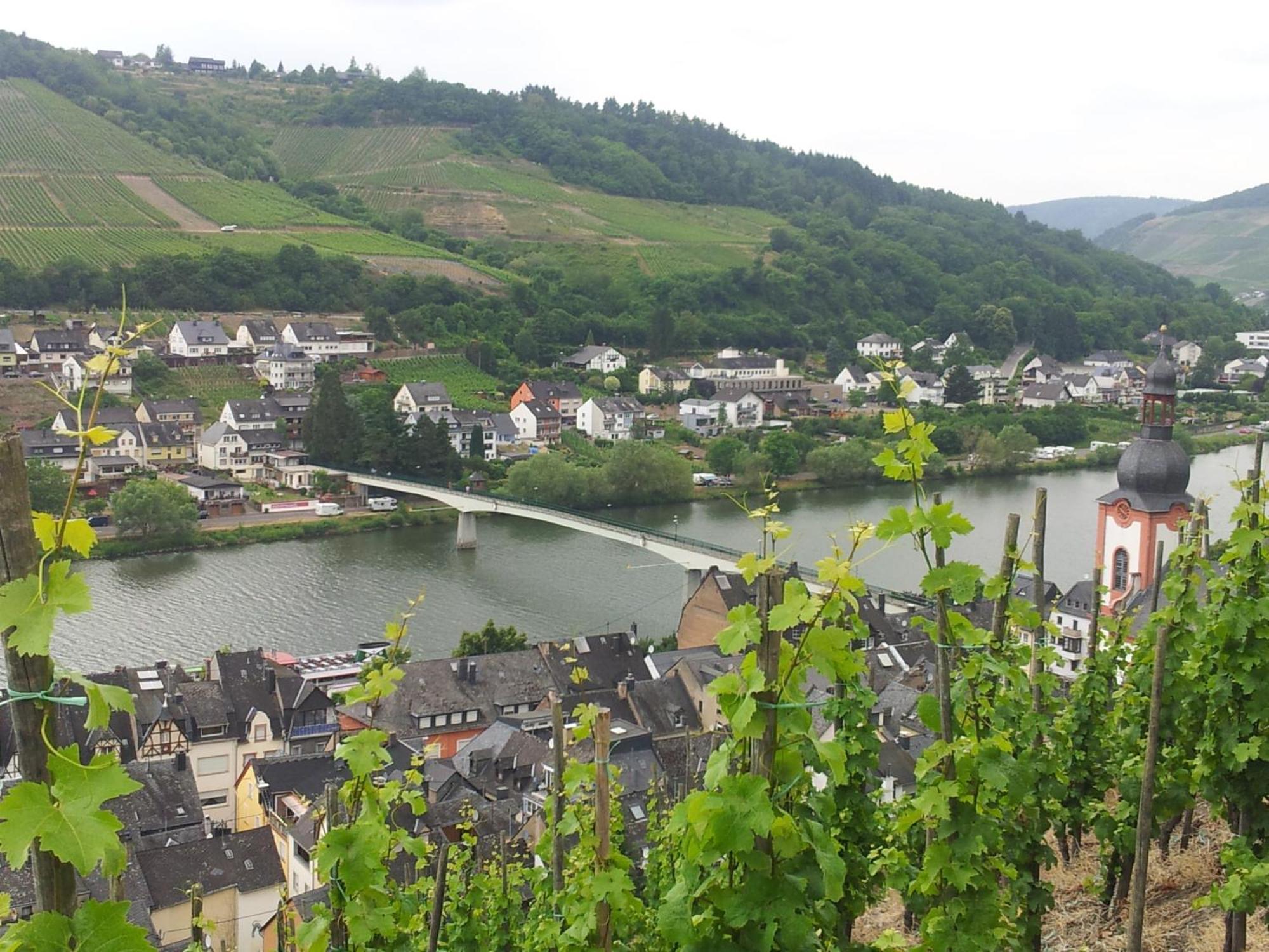 "Ferienhaus An Der Mosel" เซลล์อันแดร์โมเซล ภายนอก รูปภาพ